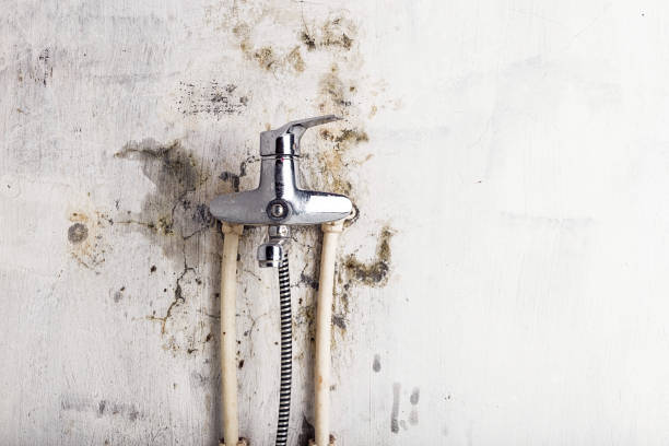 Best Residential Mold Remediation in Bren Bow, OK