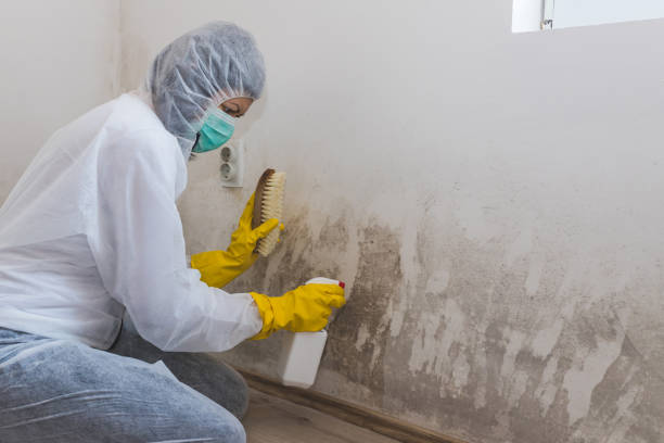 Best Mold Testing and Inspection Services in Bren Bow, OK
