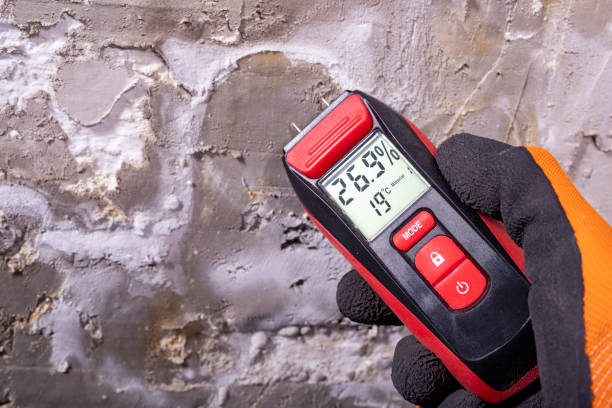 Best Attic Mold Remediation in Bren Bow, OK
