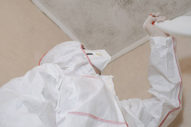 Best Industrial Mold Remediation in Bren Bow, OK