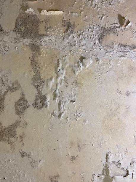 Best HVAC Mold Remediation in Bren Bow, OK