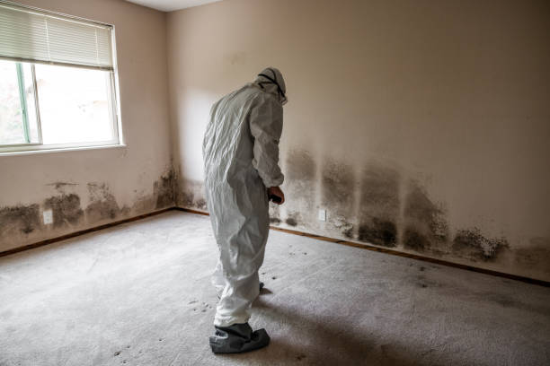 Broken Bow, OK Mold Remediation Company